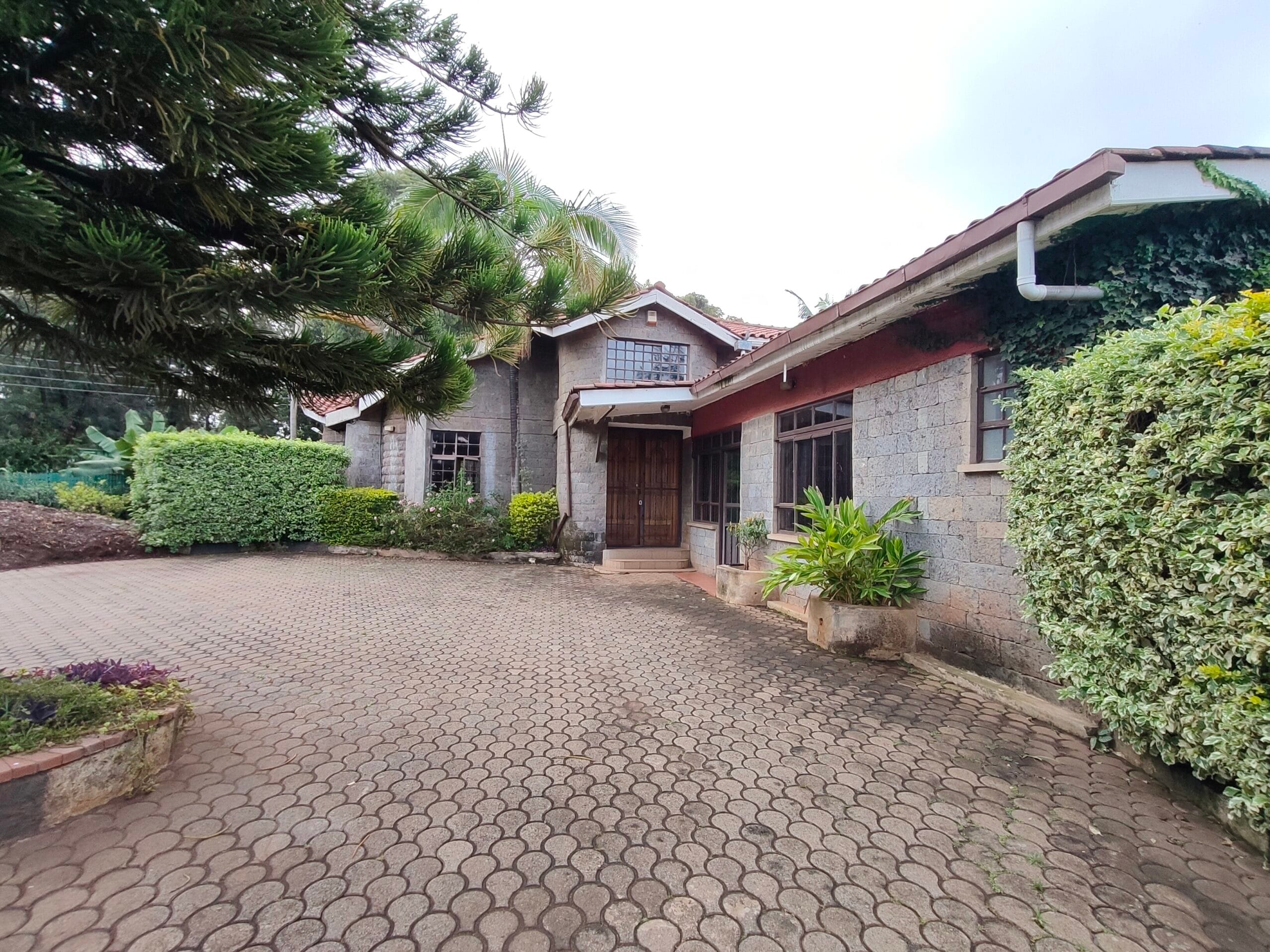 Una nueva casa que hace brotar la esperanza