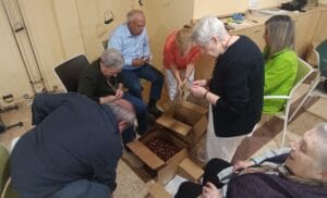 Día del Espíritu de Asís: Sembradores de Fraternidad