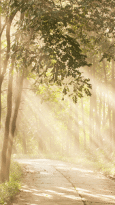 El arte de habitar la espera