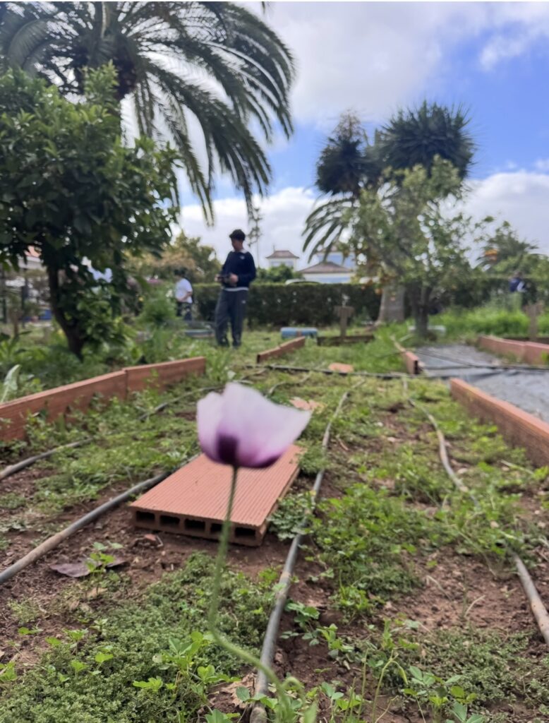 Semana Cultural 2026: una semana para recordar