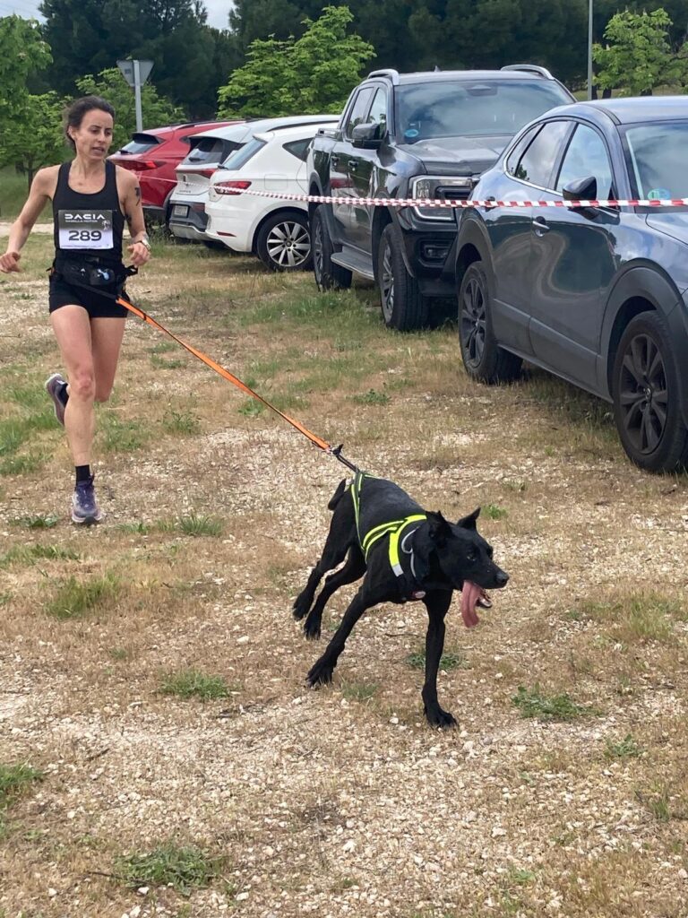 Éxito de participación en la IV Carrera Solidaria “Conectando Huellas” en Pozuelo