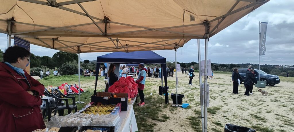 Éxito de participación en la IV Carrera Solidaria “Conectando Huellas” en Pozuelo